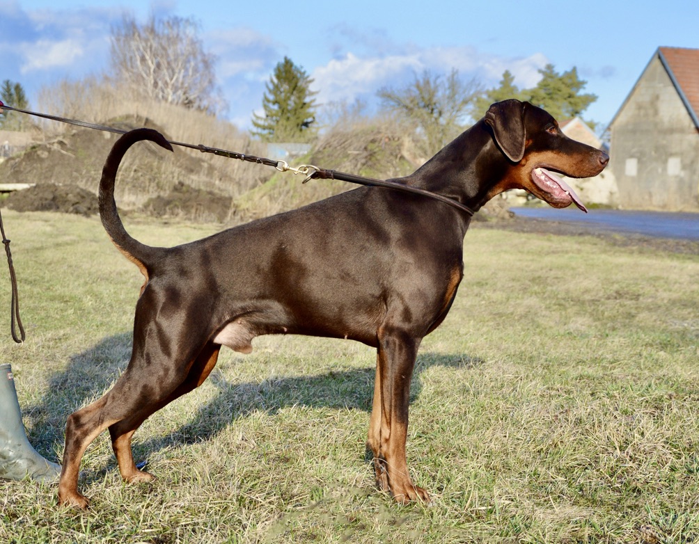Aurin standing outdoors