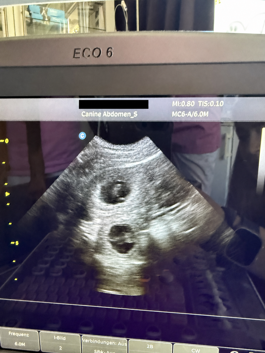 Ultrasound confirming Artemis Phina Thoraya Legacy's pregnancy